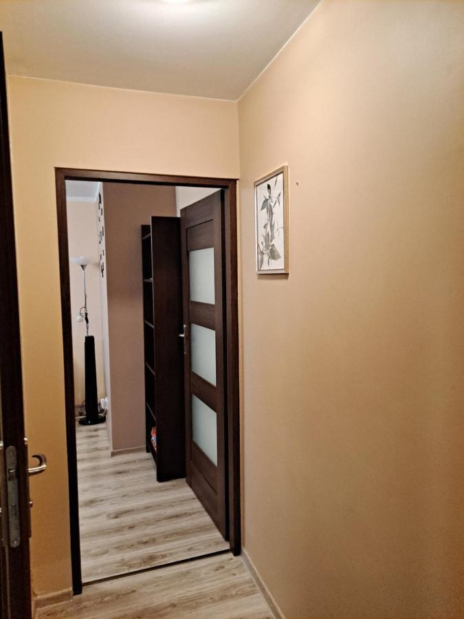 Monica Appartement Jelenia Góra Buitenkant foto